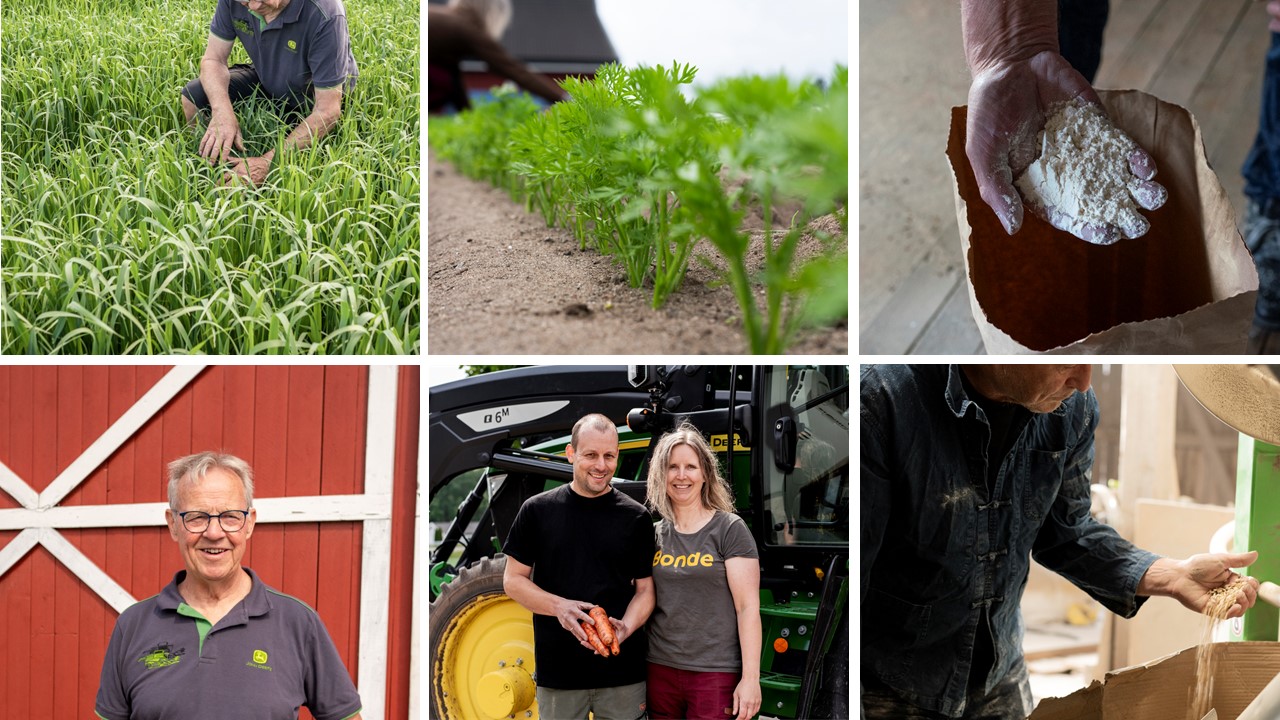 Collage havre-gulrot-m&oslash;lle.jpg